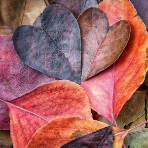 Meet your Posher, Lila